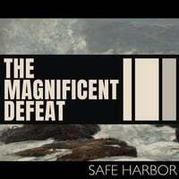 Safe Harbor